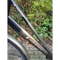 Prima POINTER damesfiets in 3 shimano nexus versnelingen