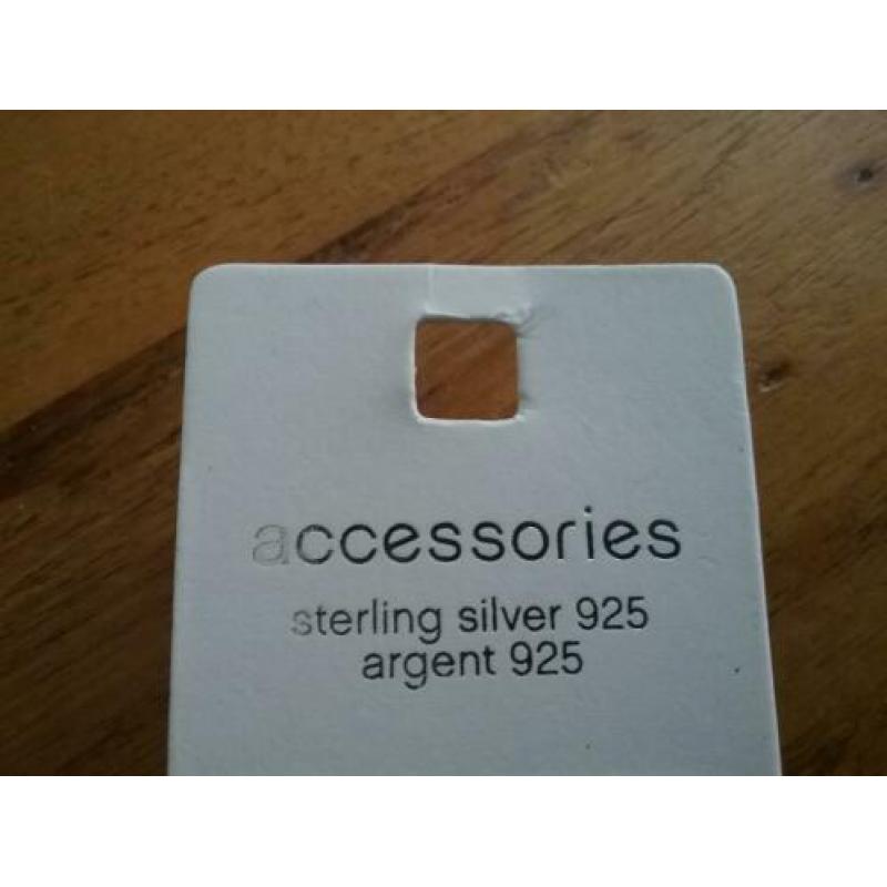 Nieuwe Sterling Zilveren Oorbelletjes