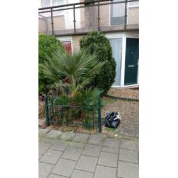 Tuin onderhoud en bestrating