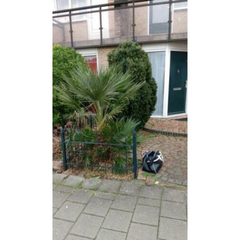 Tuin onderhoud en bestrating