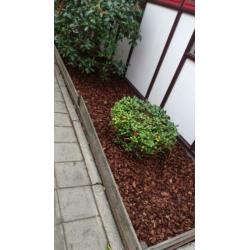 Tuin onderhoud en bestrating