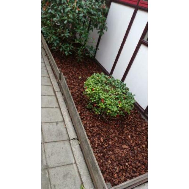 Tuin onderhoud en bestrating