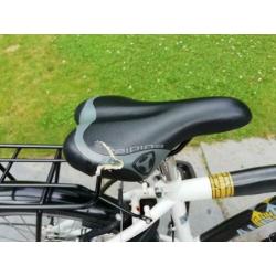 Alpina Yabber, 22 inch