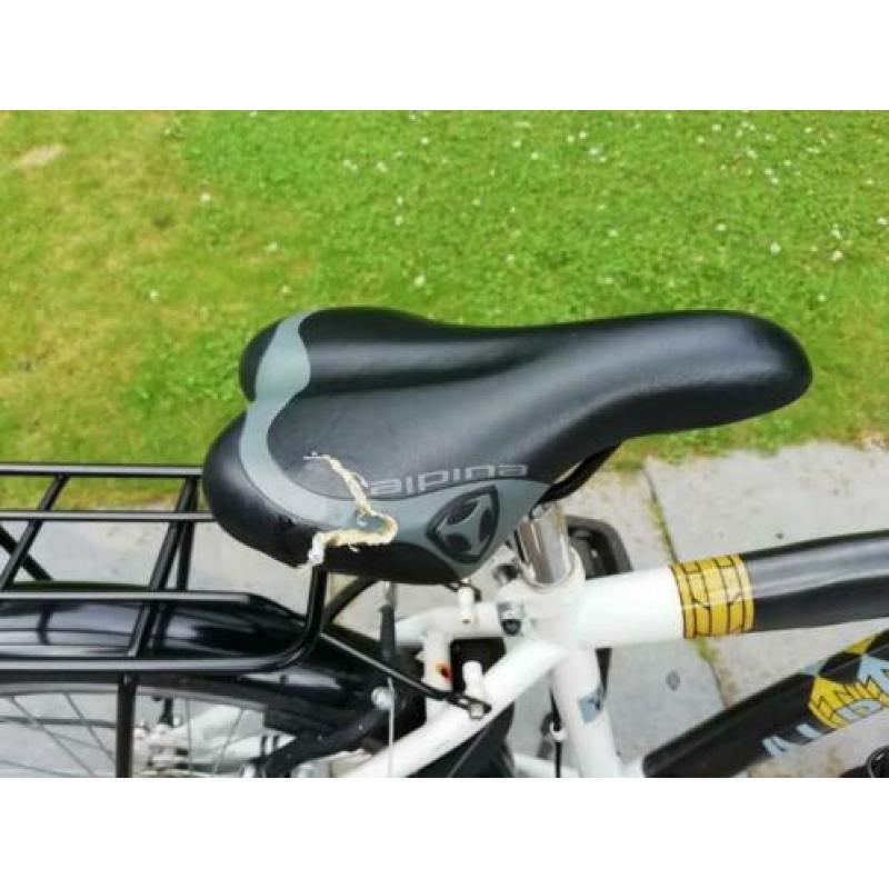 Alpina Yabber, 22 inch