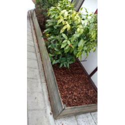 Tuin onderhoud en bestrating