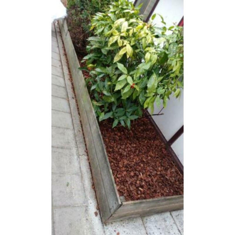 Tuin onderhoud en bestrating