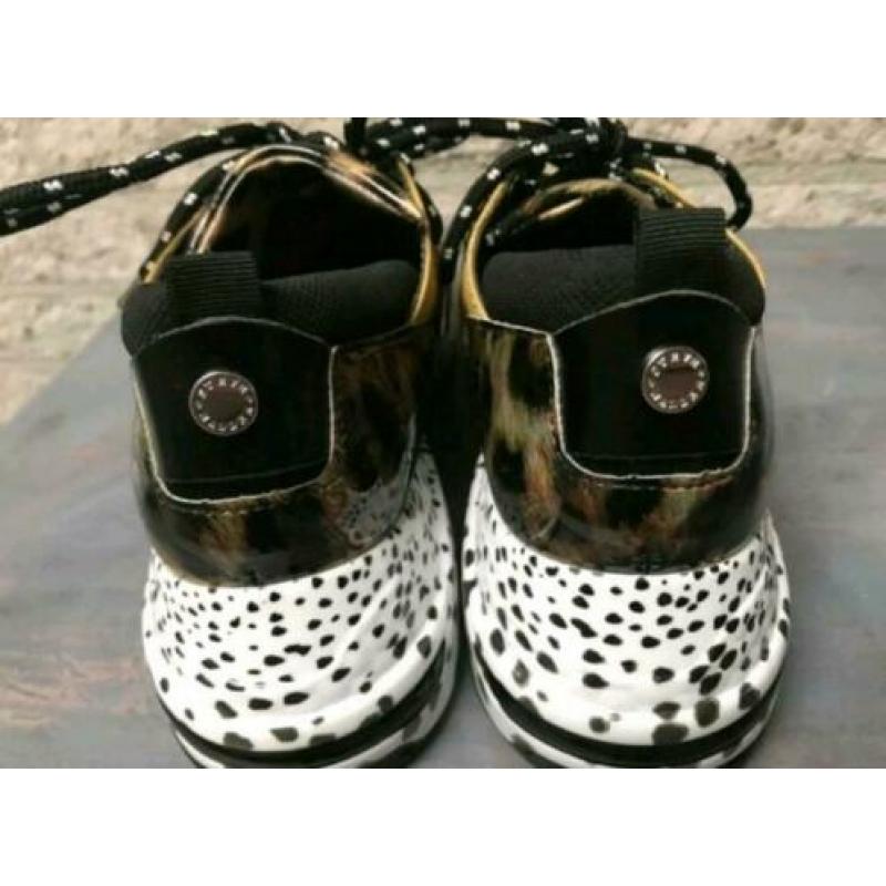 Steve Madden Cliff maat 42