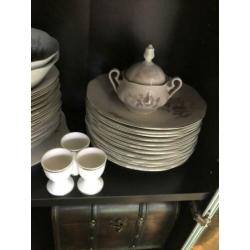 12 delig compleet servies