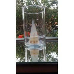 Orgonite pyramide in glas