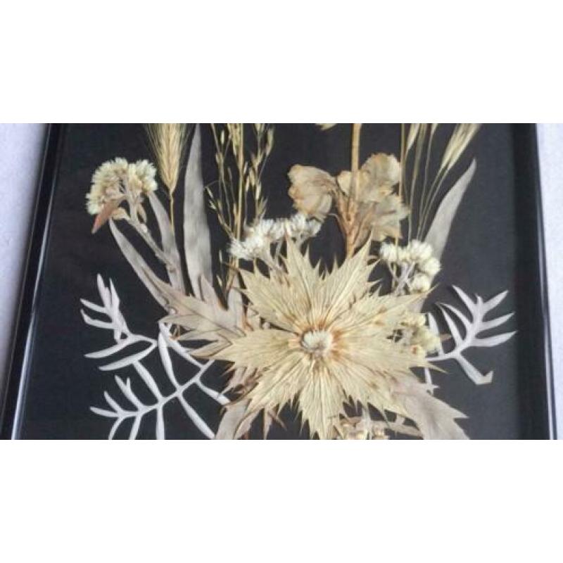 Droogbloemen-compositie in lijst/2 stuks