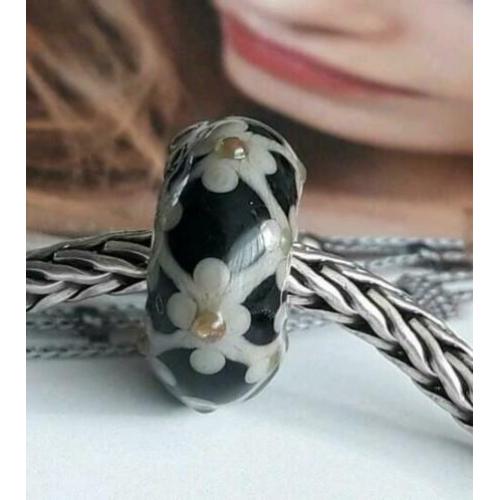 Mooi Uniekie Van Trollbeads