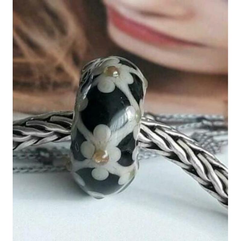 Mooi Uniekie Van Trollbeads