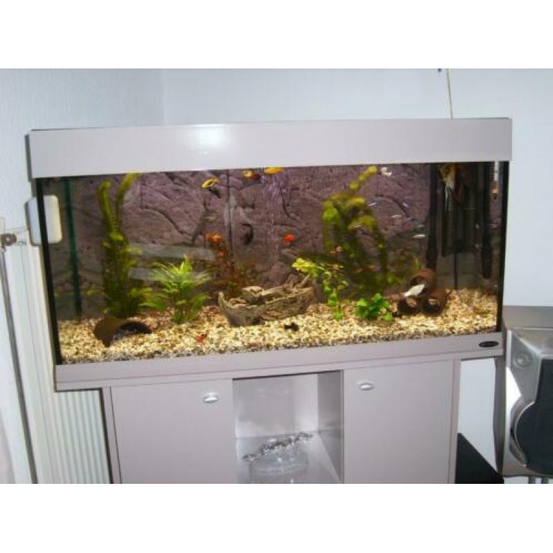 AquArium