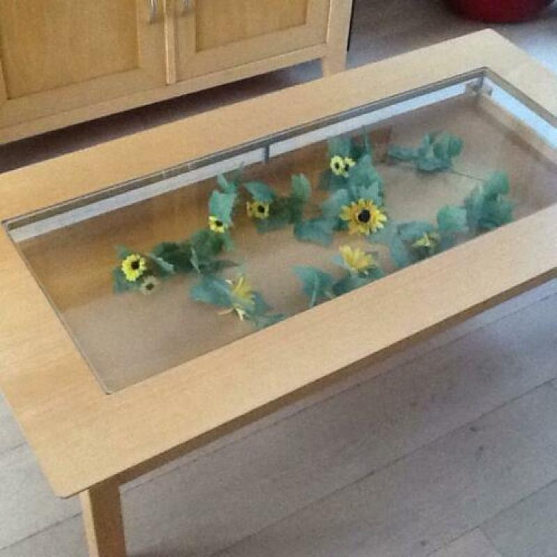 Salentafels en tv kast