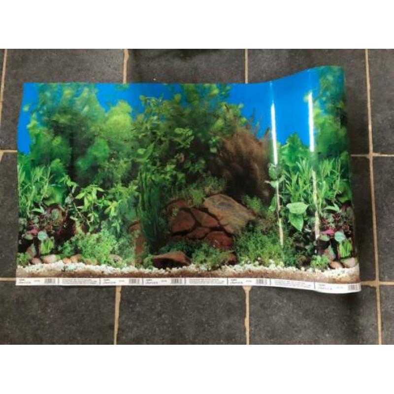 Aquarium superfish model 45
