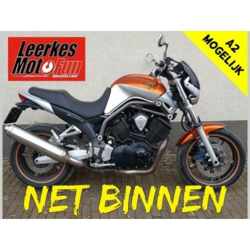 Yamaha BT 1100 / BT1100 Bulldog A2 / 35kW mogelijk! (2003)