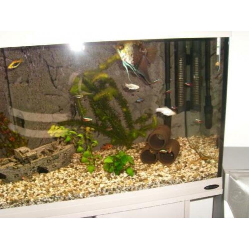 AquArium