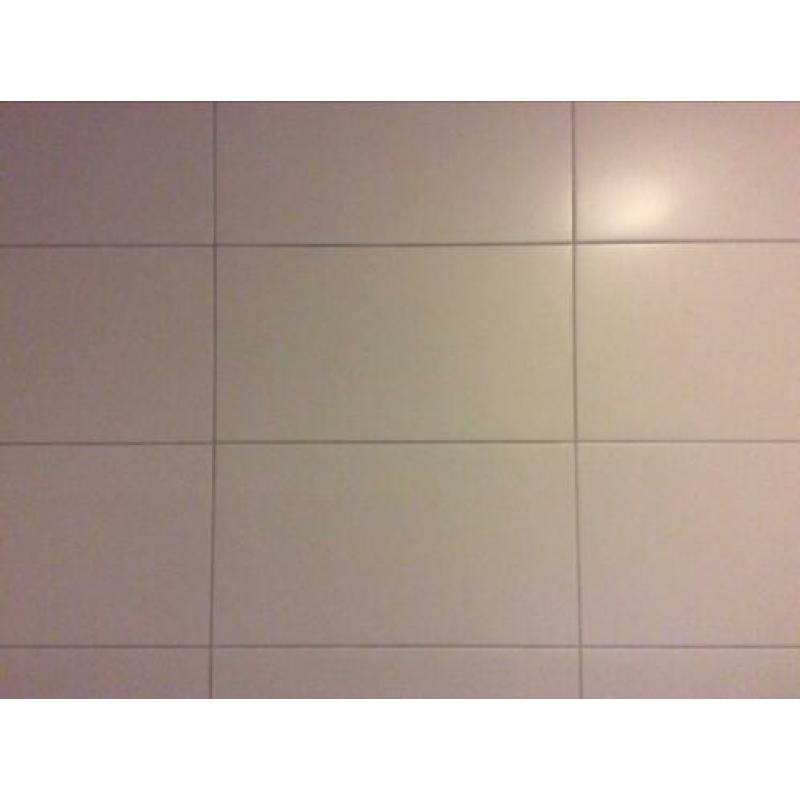 Wandtegel 60x33 mat wit 7m