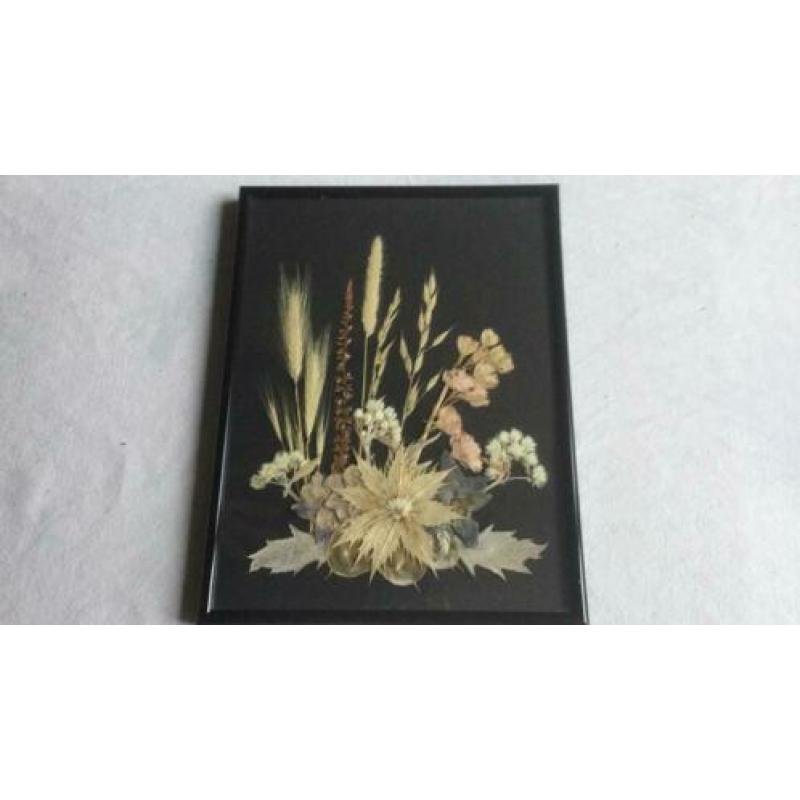 Droogbloemen-compositie in lijst/2 stuks