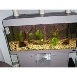 AquArium