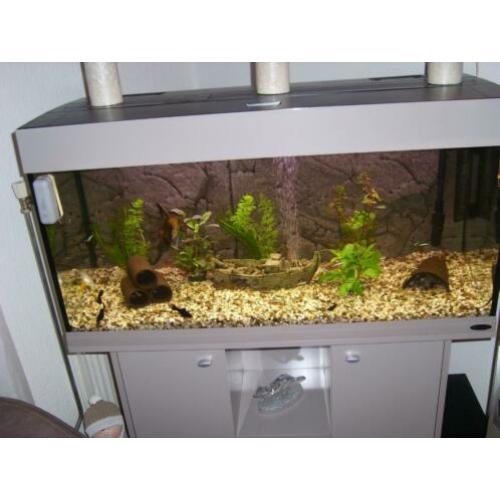 AquArium