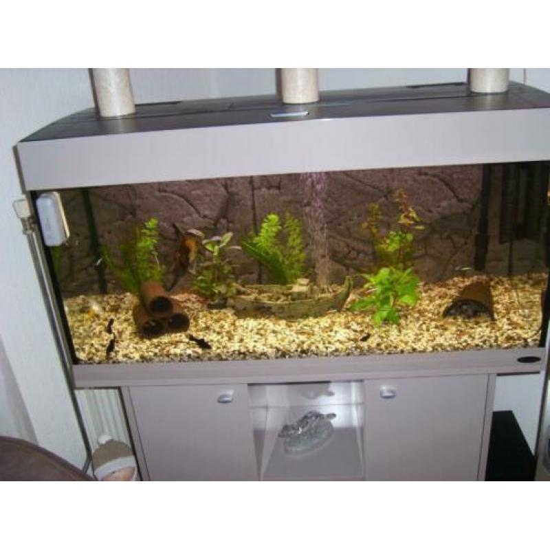 AquArium