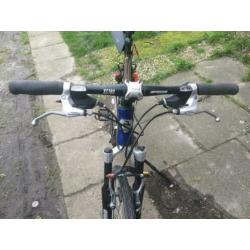 Hele mooi Gazelle XR-series