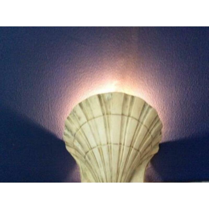 Schelp Lampen / zee lampen