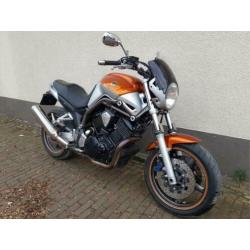 Yamaha BT 1100 / BT1100 Bulldog A2 / 35kW mogelijk! (2003)