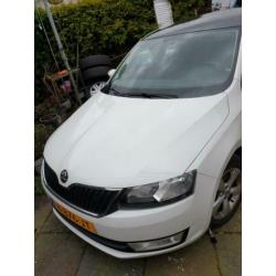 Skoda Rapid 1.6 105pk TDI 2014 Wit