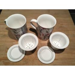 Thee mokken met filter voor losse thee (en deksel)