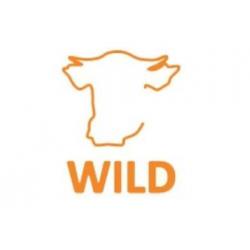 WILD maat 31 lerensneaker/rits roze paarden gratis verzenden