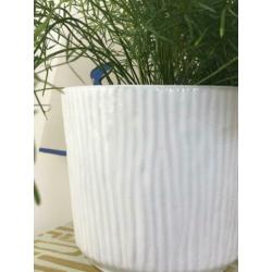 West Germany vintage BLOEMPOT wit groot Ø15cm no retro