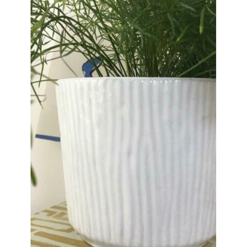 West Germany vintage BLOEMPOT wit groot Ø15cm no retro