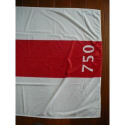 Vlag en kaars van AMERSFOORT