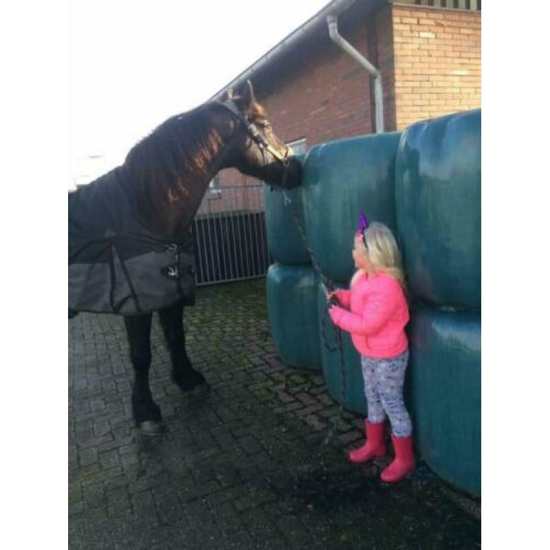 Mooie Friese ruin