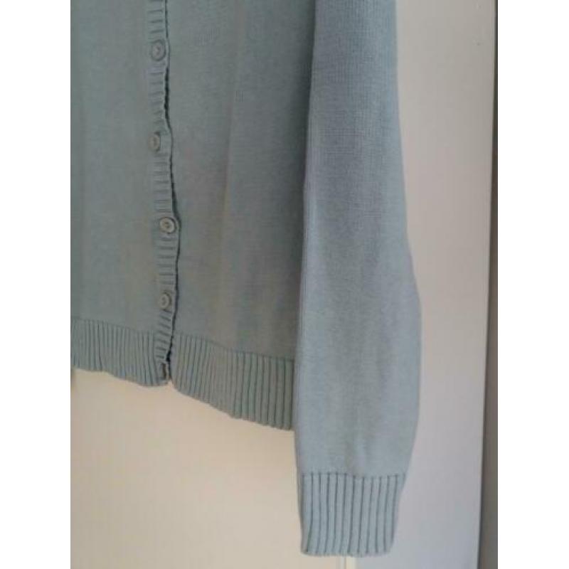 Vest licht blauw / ijsblauw merk Best Connections maat 38