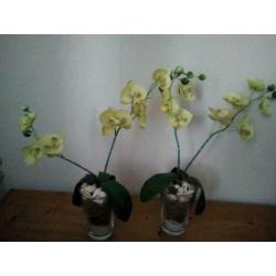 2 gele zijden kunst orchidee plant 2 stuks als nieuw mooi