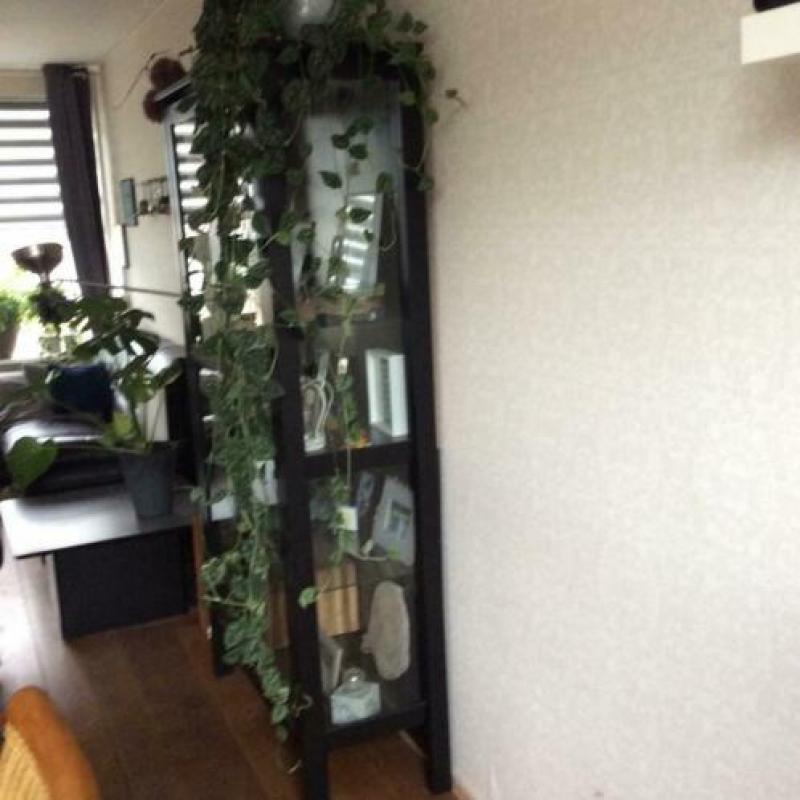Vitrinekast, glas/hout kleur zwart