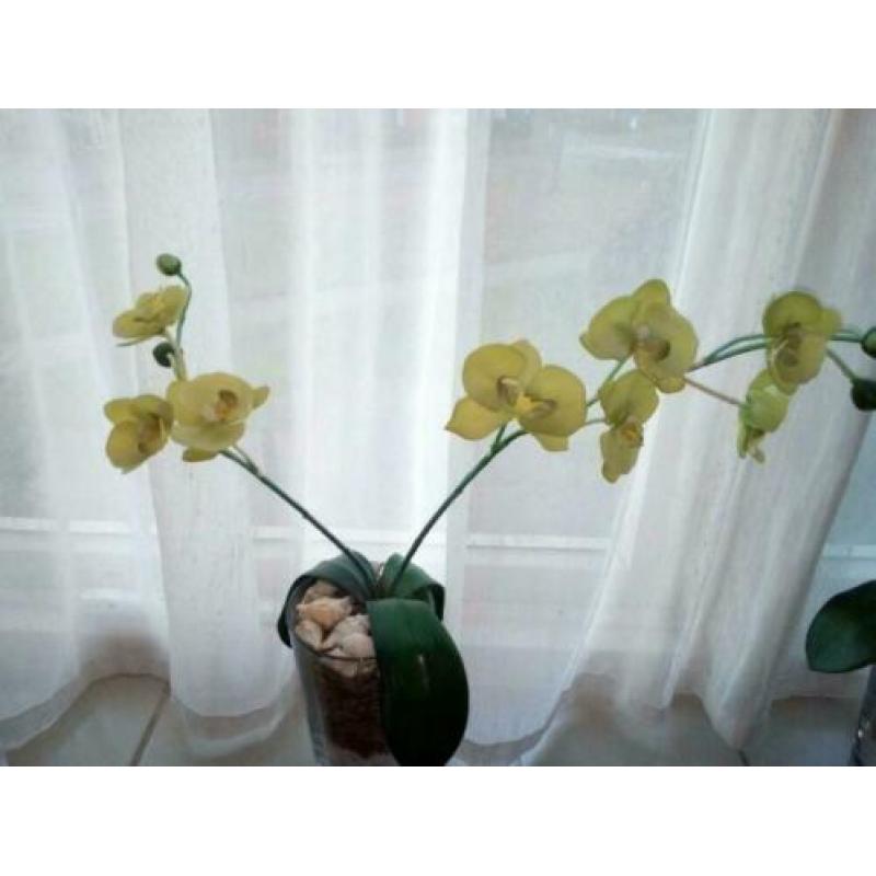 2 gele zijden kunst orchidee plant 2 stuks als nieuw mooi