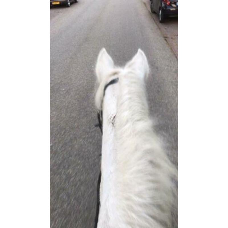 Bijrijder gezocht