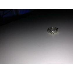 Buddhatobuddha ring