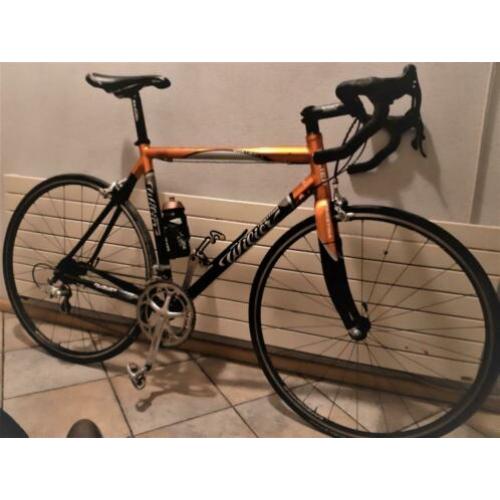Prachtig mooie Wilier Triestina Mortirolo