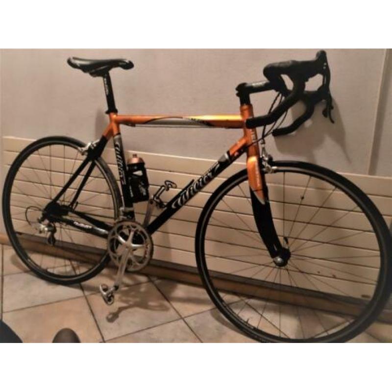 Prachtig mooie Wilier Triestina Mortirolo