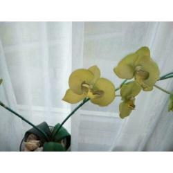 2 gele zijden kunst orchidee plant 2 stuks als nieuw mooi