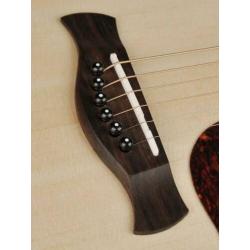 Akoestische gitaar dreadnought D-20 | Richwood