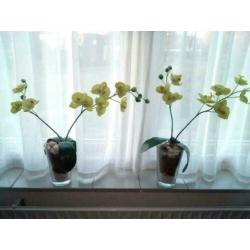 2 gele zijden kunst orchidee plant 2 stuks als nieuw mooi
