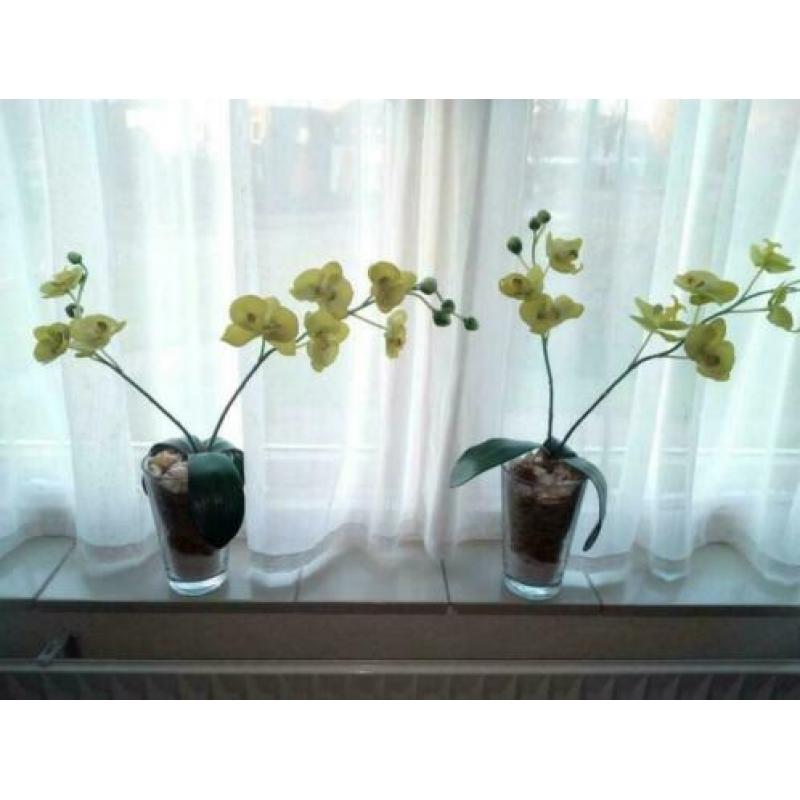2 gele zijden kunst orchidee plant 2 stuks als nieuw mooi