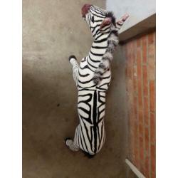 Pluche zebra knuffel dier