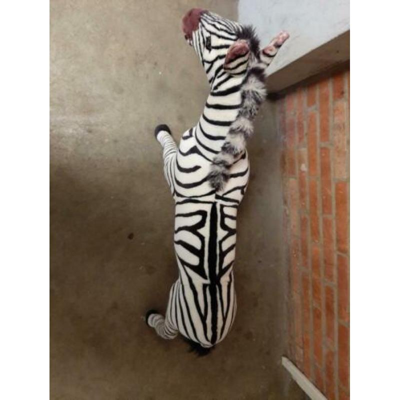 Pluche zebra knuffel dier